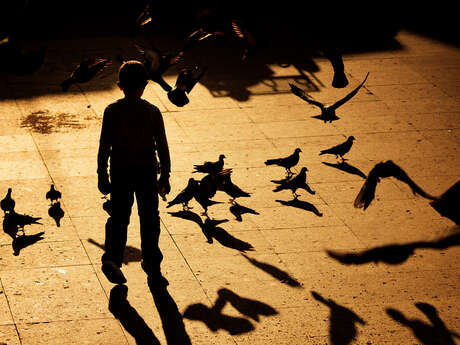 Le petit garçon avec une ombre d'oiseau