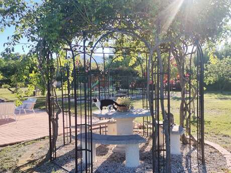 Rose - Gîte en Provence