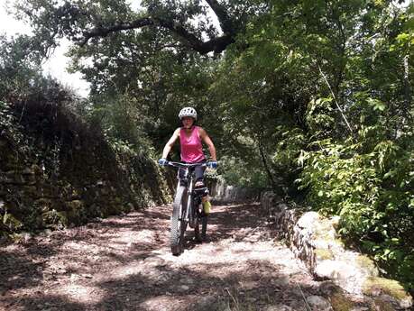 MTB no.61 - The Provence Plains