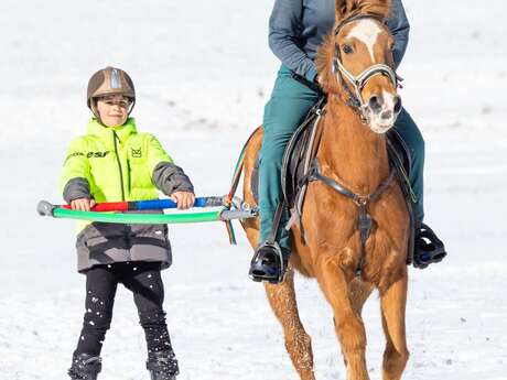 Ski Joering : skieur tiré par un cheval