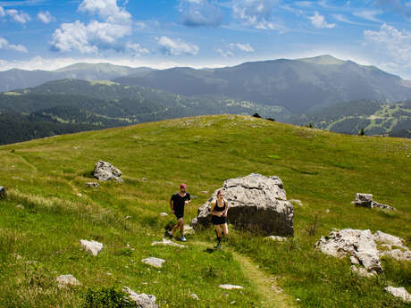 Parcours Trail - Dreccia - Bleu
