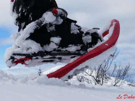 Excursión con raquetas de nieve "Roc de Scaramus" con los Dahu Ariègeois