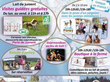 Journée festive au Haras