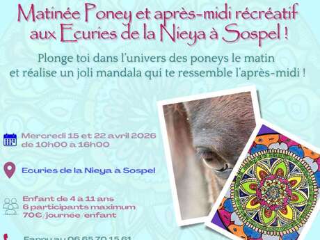 Ponymorgen und Freizeitnachmittag