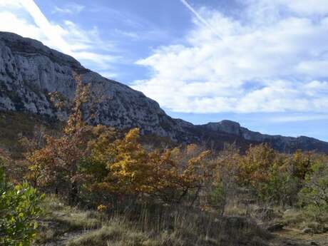 PLAN D'AUPS SAINTE-BAUME - Du sentier Merveilleux à l'oratoire de Miette
