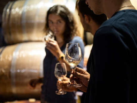Wine Notes au Domaine de Pimotin Wine Notes au Domaine de Pimotin