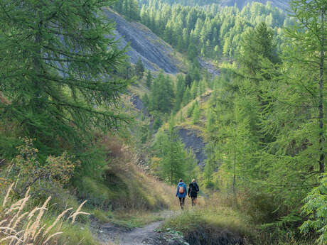 Les Dimanches du Sauze : Sortie avec accompagnateur en montagne - Le Sauze d’hier à aujourd’hui