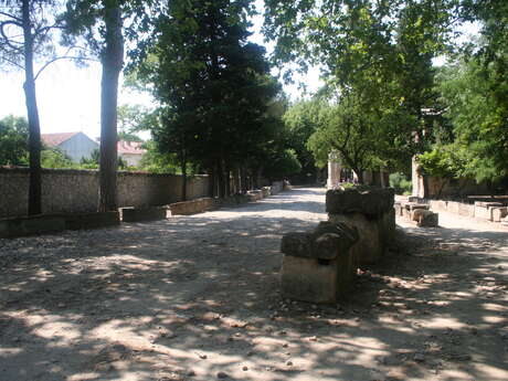 Don Juan des Alyscamps