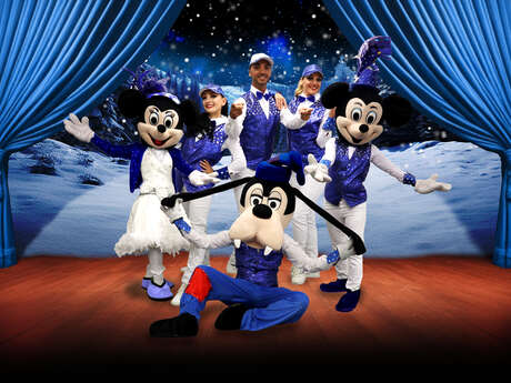 Special Disney sound and light show by Cie Revue Bellissima