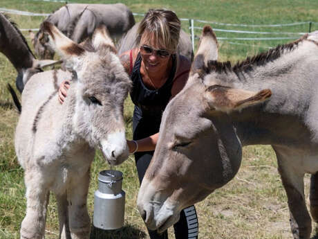Journées du patrimoine de Pays : tour et détour