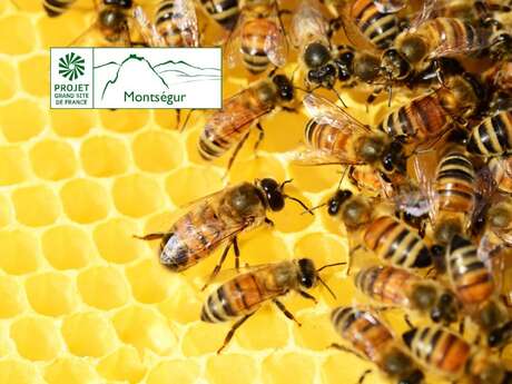Journée mondiale des abeilles