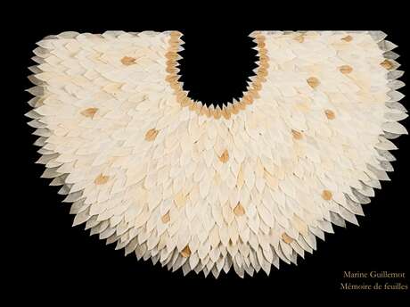 Exposition temporaire "Mémoire de feuilles" par l'artiste Marine Guillemot