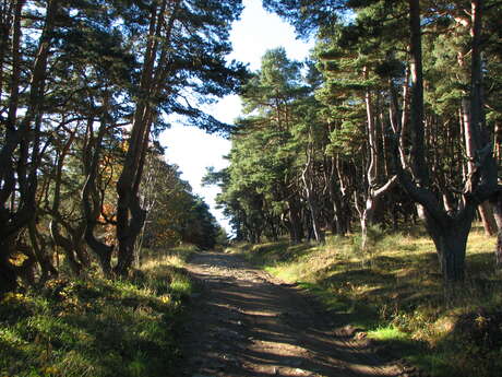 Puy Granet - Maure