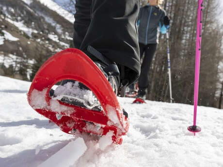 Découverte des raquettes