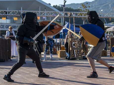 Medieval Tournament for the Telethon