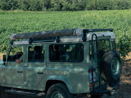 Safari dans les Vignes