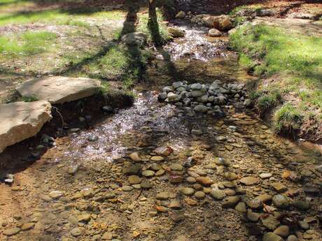 Journée randonnée du côté de Saint-Zacharie "Source des Nayes - Forêt du Défens"