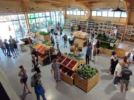 Du paysan à l'agriculteur