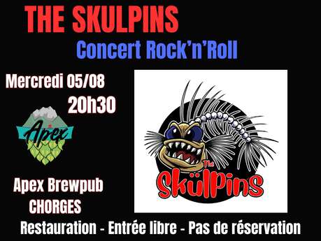 Concert The Skulpins