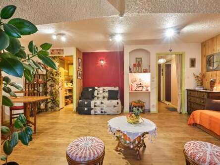 L'Edelweiss du bois des lièvres