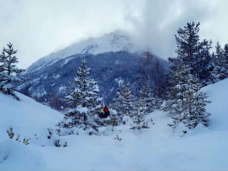 Itinéraire raquettes - Les Arras