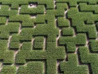 Aventures dans le Popcorn Labyrinthe