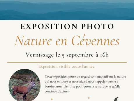 Exposition à l'Auberge du Mas de la Barque