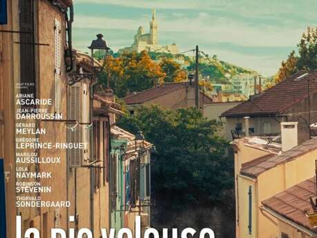 Cinéma : La pie voleuse