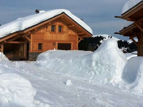 Chalet Le Grenier d'Augustin II - 90 m² - n°800