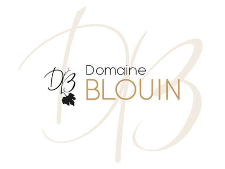 Domaine Blouin