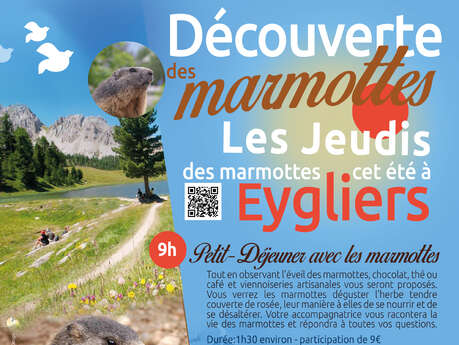 Discovering marmots in Eygliers