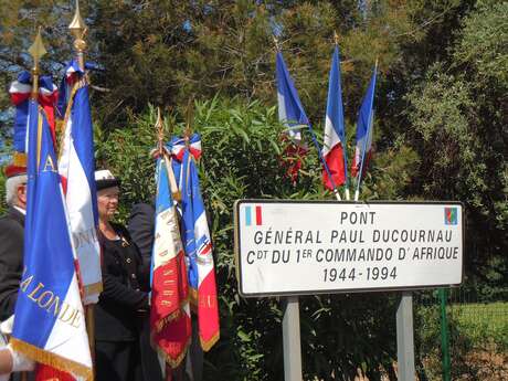 Pont général Paul Ducournau