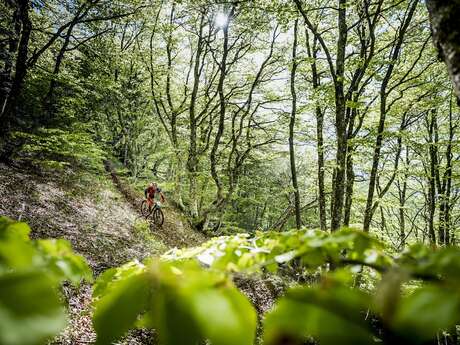 N°16 (Rouge) - Fontaine de Bane