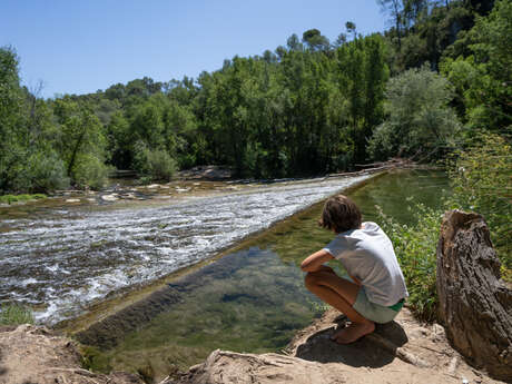Le Chemin de l'Ecluse