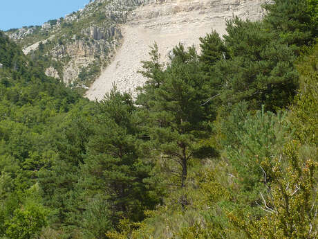 Le Verdon