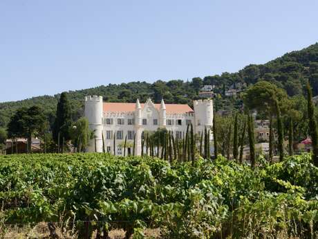 Domaine viticole Chateau de Carqueiranne
