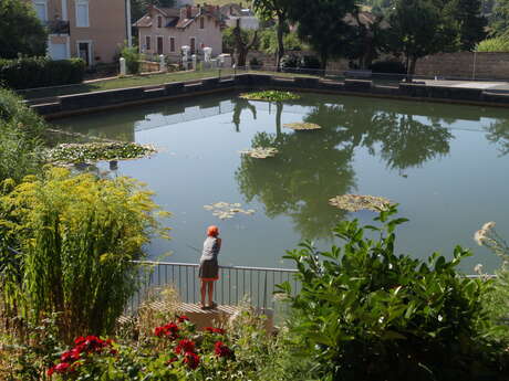Etang du jardin public