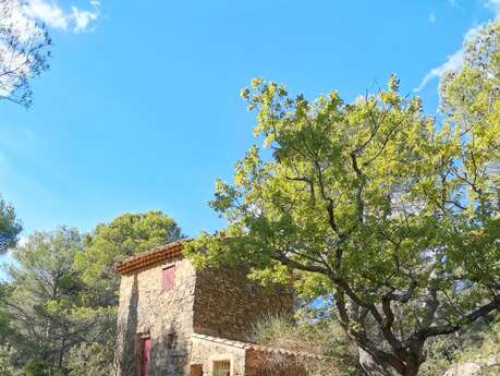 Cezanne walk - from the pine forest to the Bibemus quarries