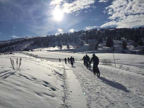 VTT électrique : sortie privatisée