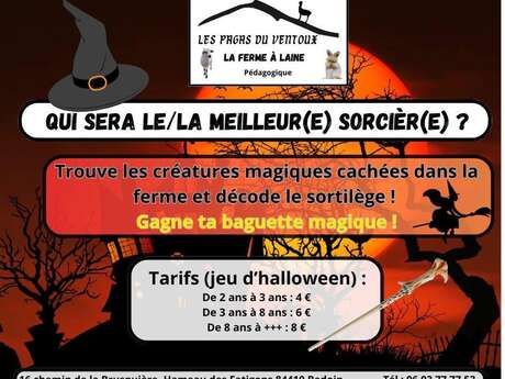Halloween: Wer wird die beste Hexe oder der beste Hexer?