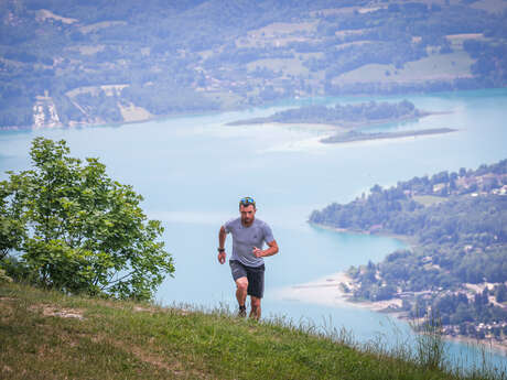 Circuit 11 - Le trail du lynx