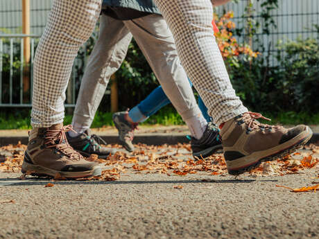 Les bases de la randonnée : votre formation pour marcher en toute tranquillité