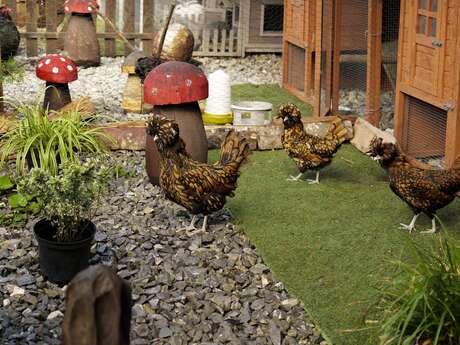 Visite de la ferme pédagogique