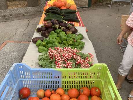 Amap La Seyne sur Mer