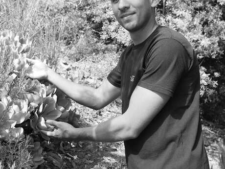 Découverte du Domaine du Rayol et du jardin des Méditerranées