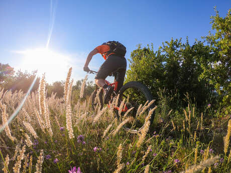 Site VTT FFC - Provence Verdon - Circuit 15 - Rouge