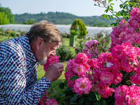 Les Rosiers de Richard