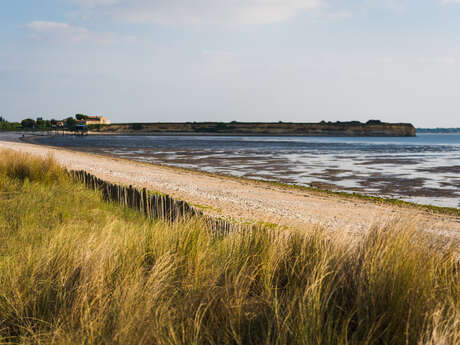 La baie d