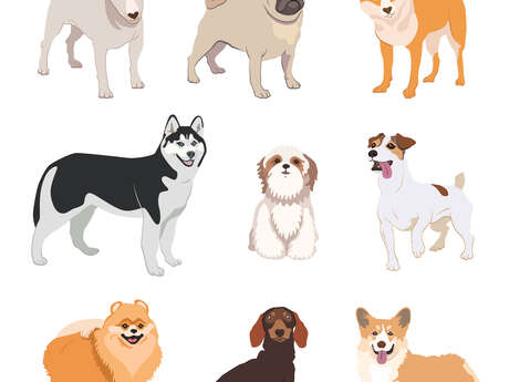 Journée autour du chien (SPA du Dauphiné)