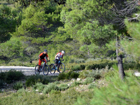 MTB no.36 - Peyre Plate